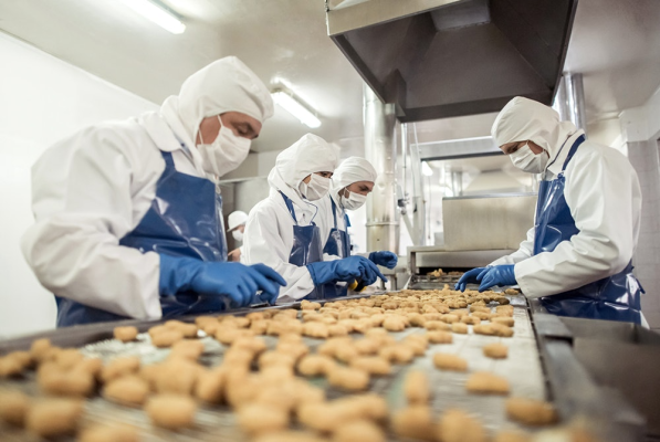 Why is Inspection in the Food Industry Important?